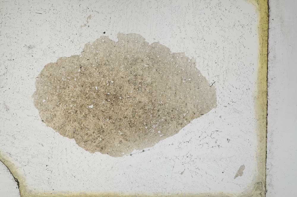 Plane Polarized, S10076