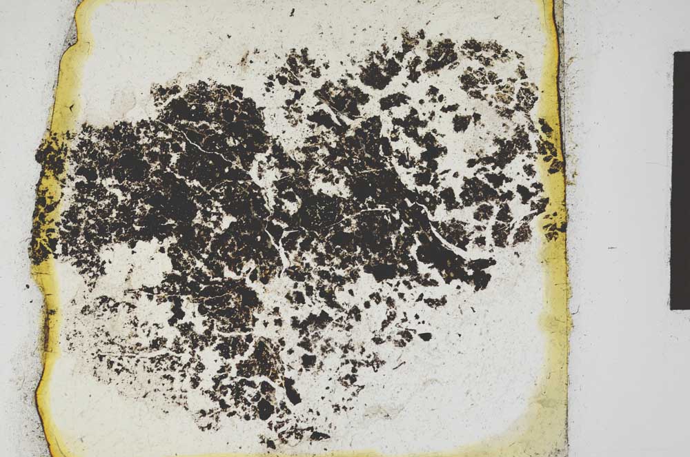 Plane Polarized, S10077