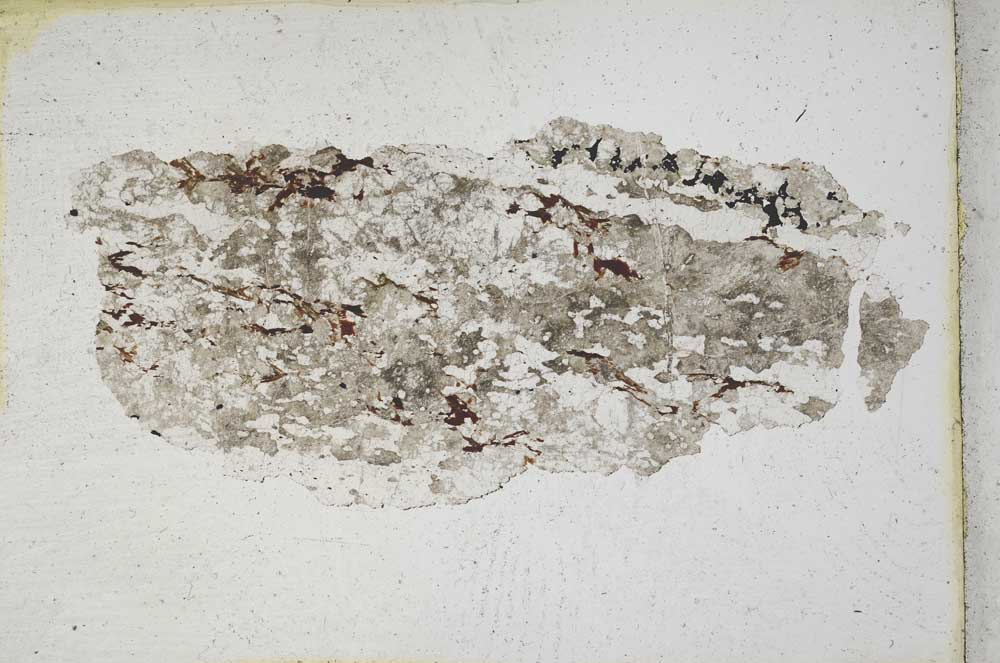 Plane Polarized, S10079