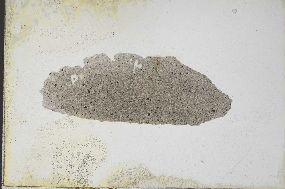 Plane Polarized, S10111
