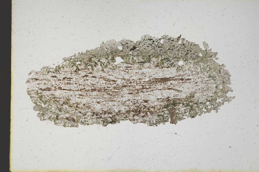 Plane Polarized, S10115