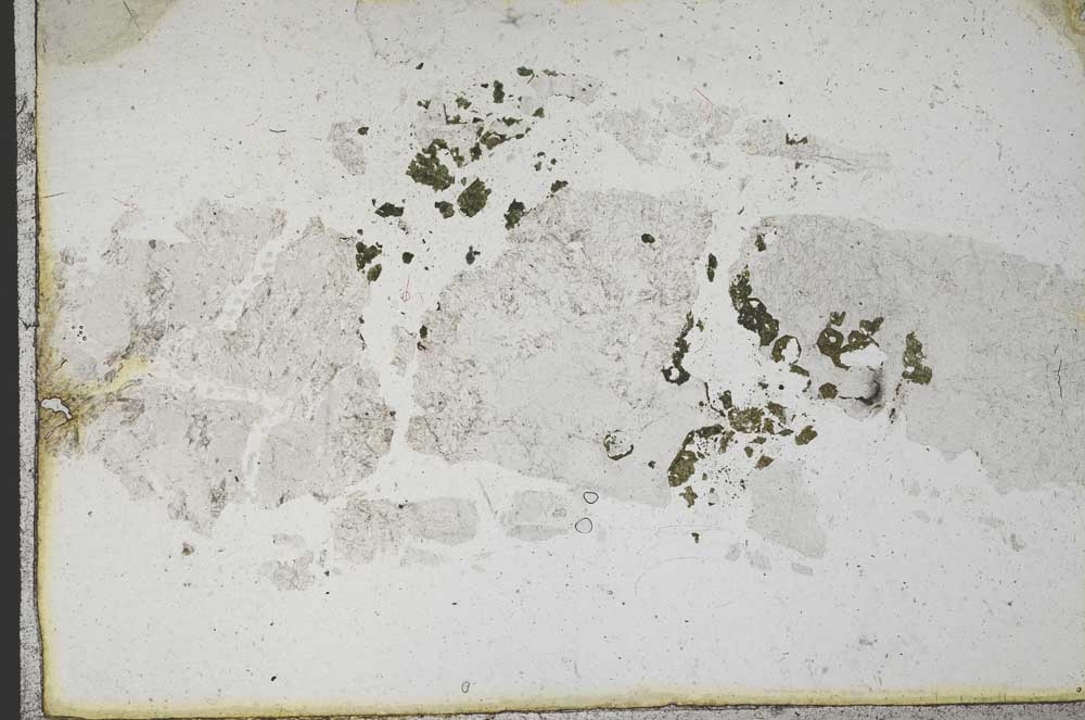 Plane Polarized, S10122