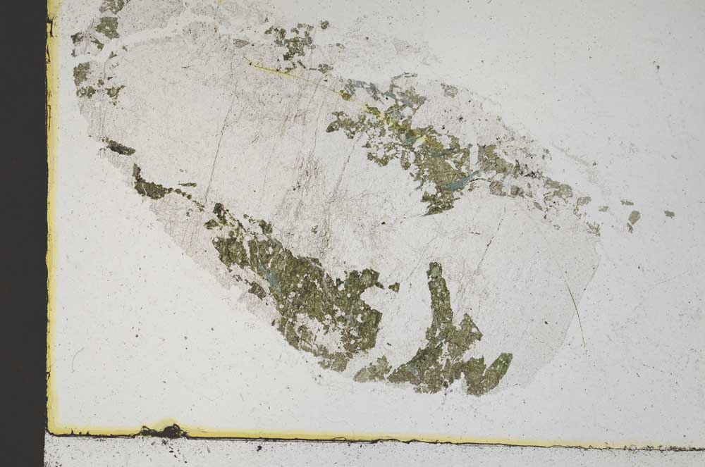 Plane Polarized, S10122/A