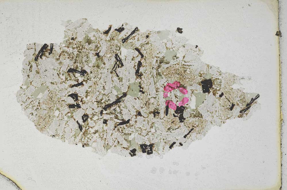 Plane Polarized, S10124