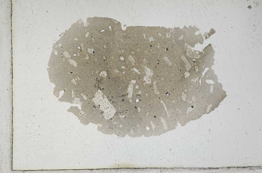 Plane Polarized, S10131