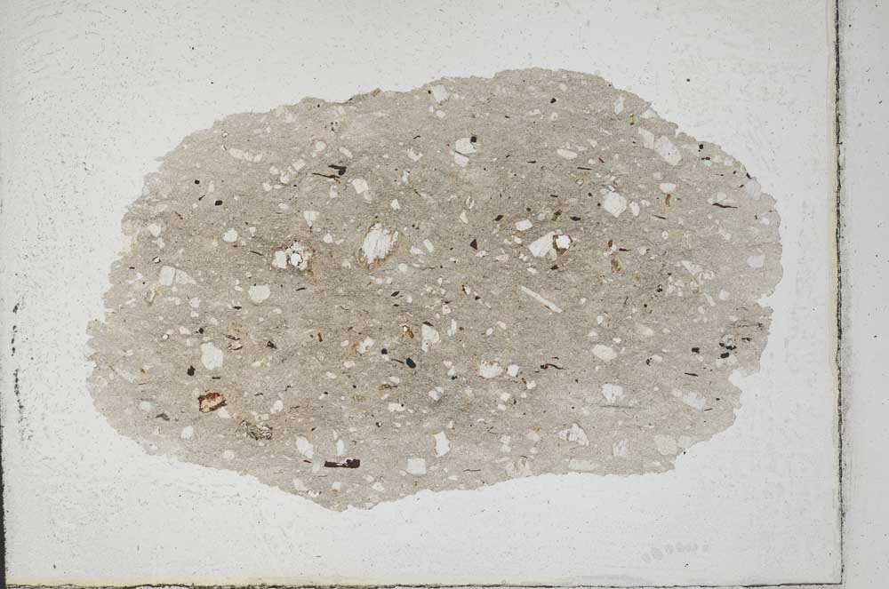 Plane Polarized, S10133
