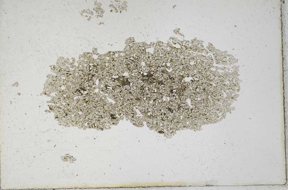 Plane Polarized, S10137