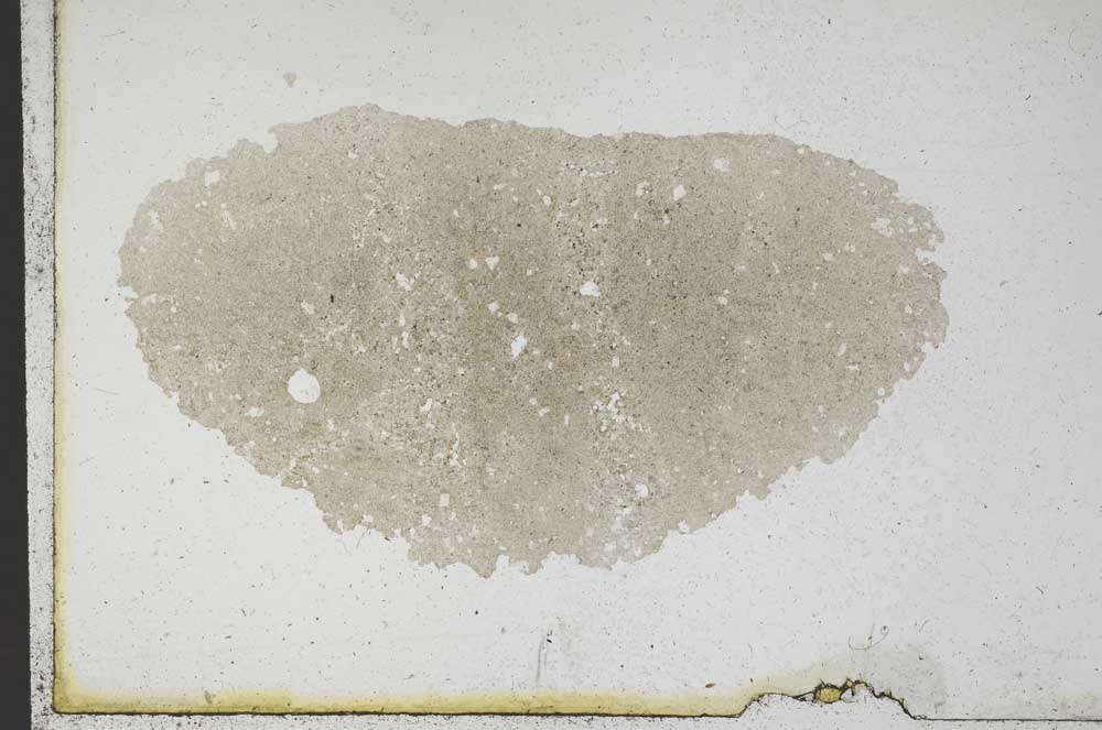 Plane Polarized, S10141