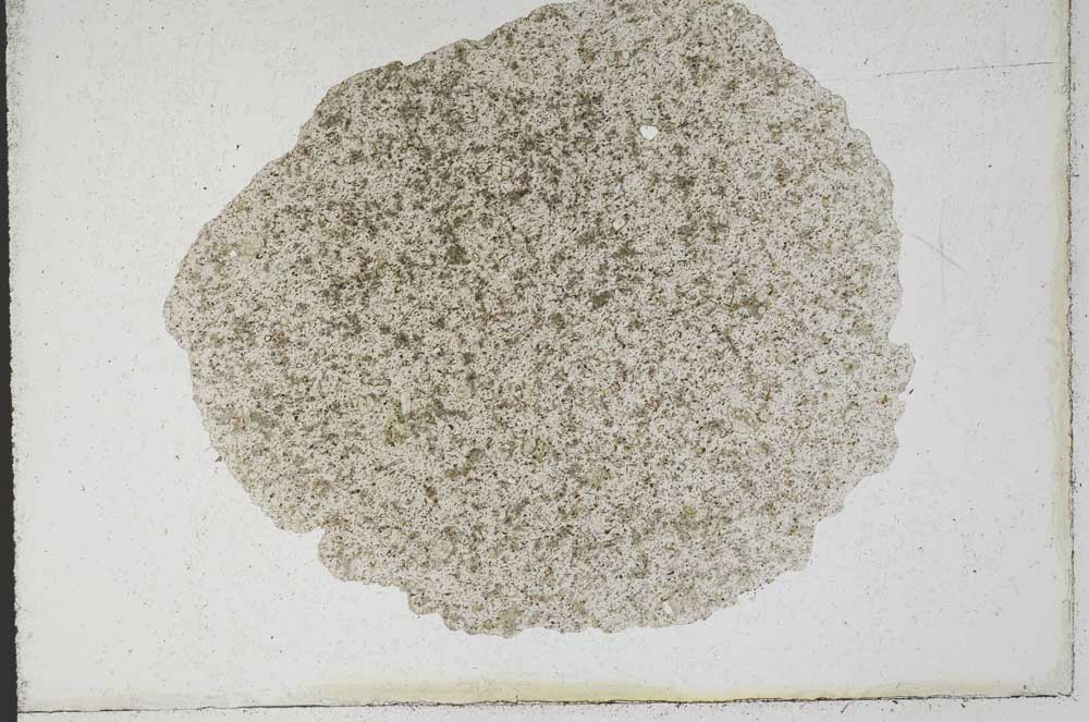 Plane Polarized, S10147