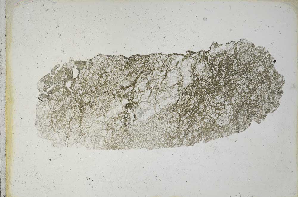 Plane Polarized, S10149