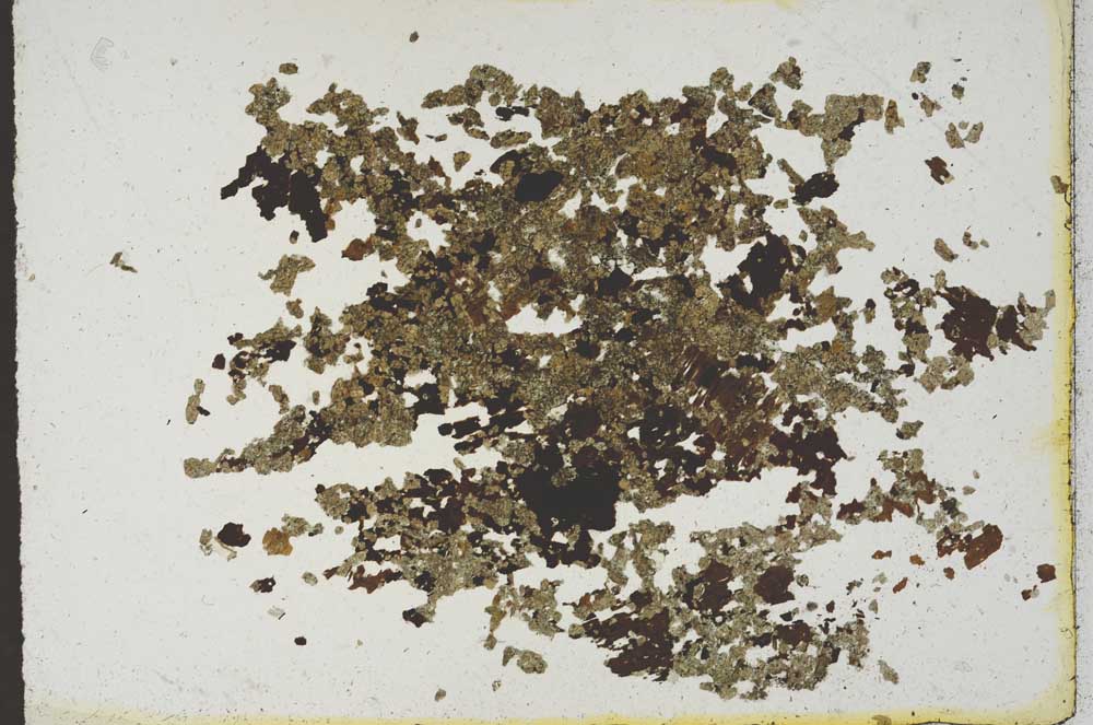 Plane Polarized, S10153