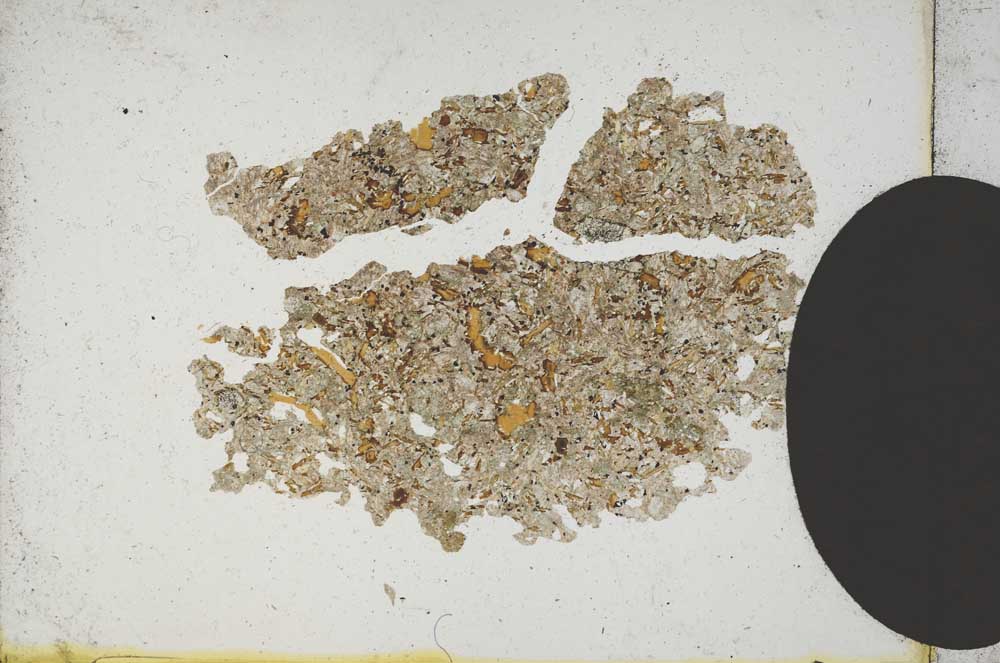 Plane Polarized, S10159