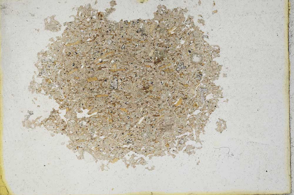 Plane Polarized, S10161