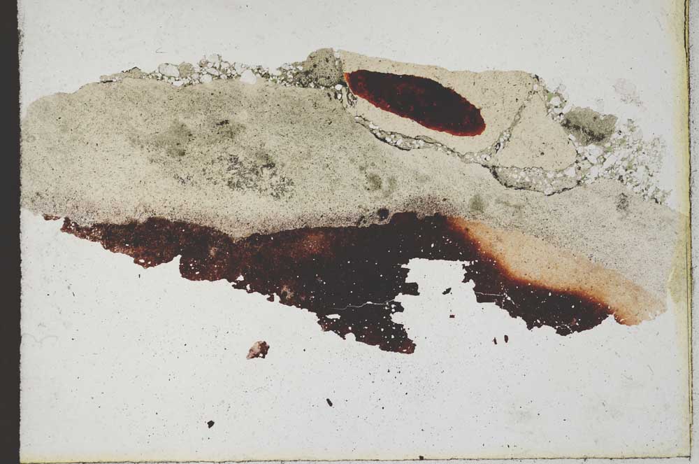 Plane Polarized, S10168