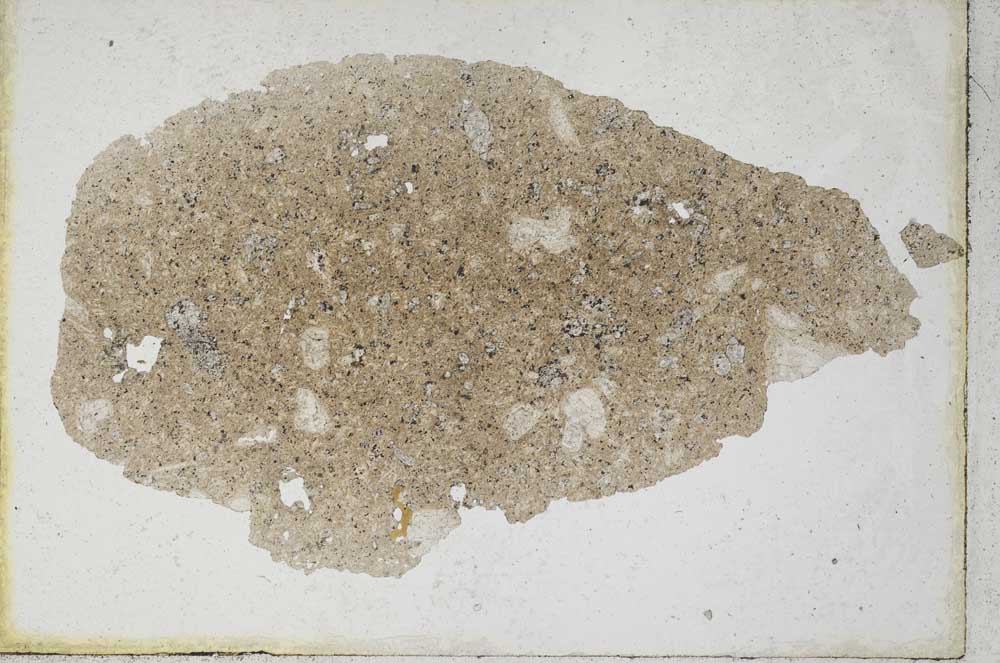 Plane Polarized, S10172