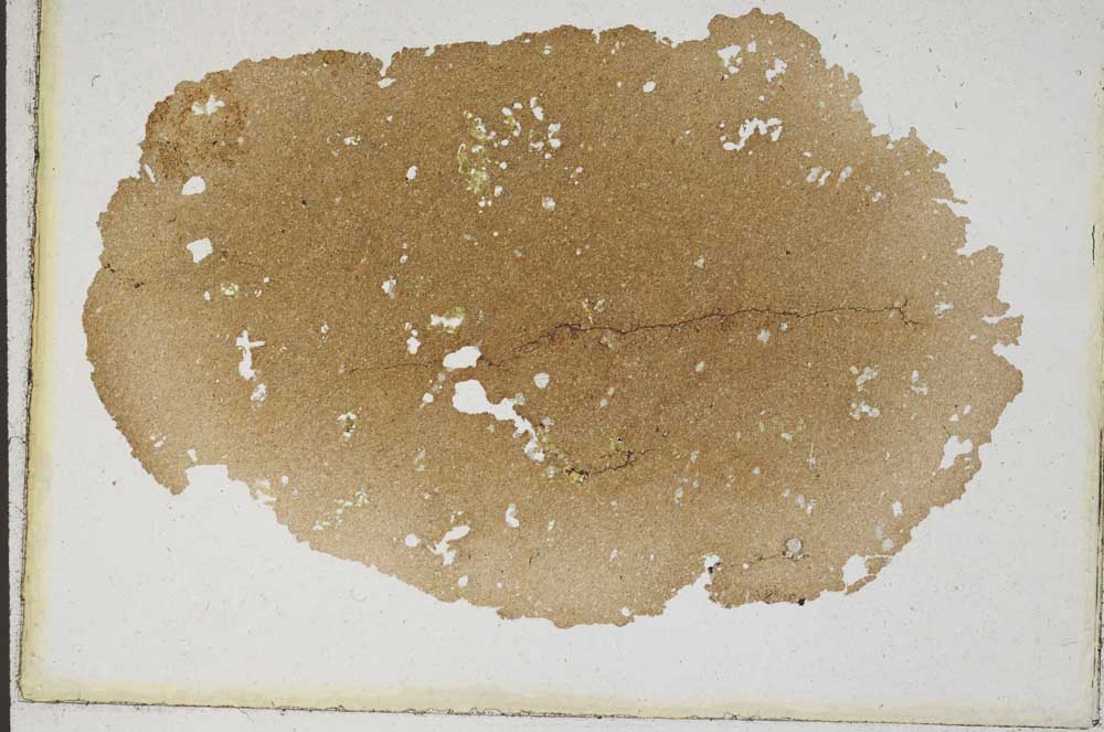 Plane Polarized, S10174