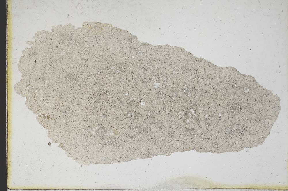 Plane Polarized, S10181