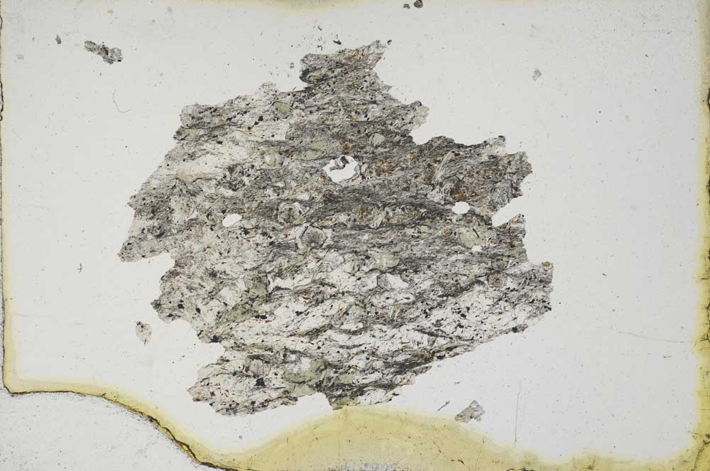 Plane Polarized, S10206