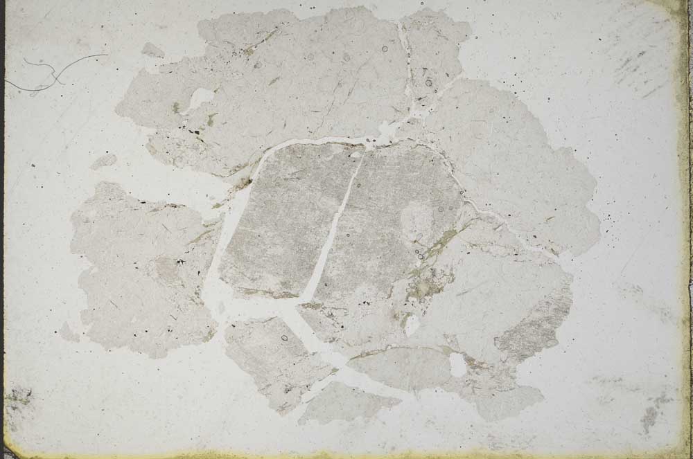 Plane Polarized, S10209
