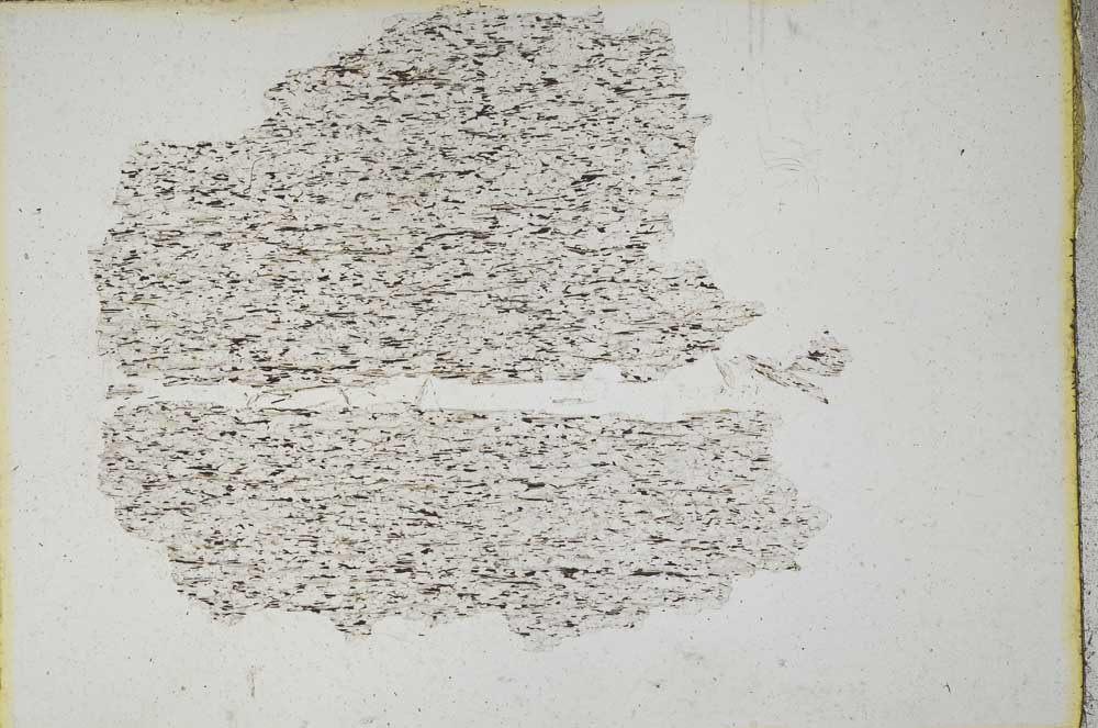 Plane Polarized, S10216