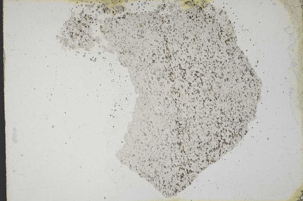 Plane Polarized, S10217