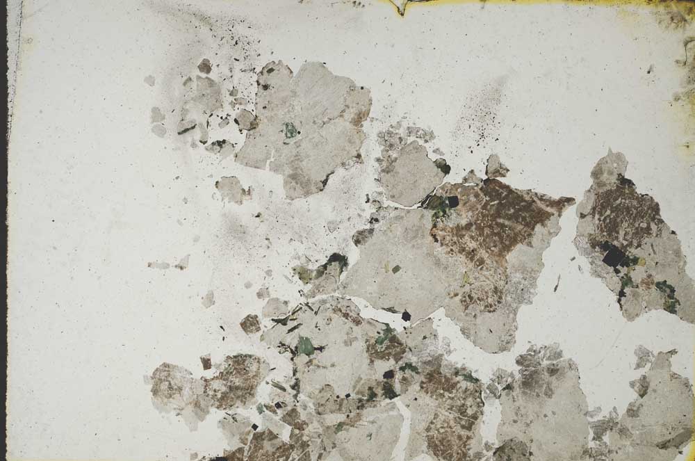 Plane Polarized, S10230