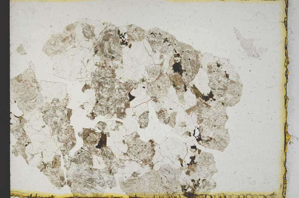 Plane Polarized, S10236