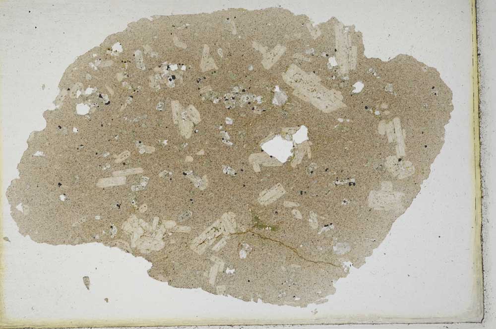 Plane Polarized, S10245