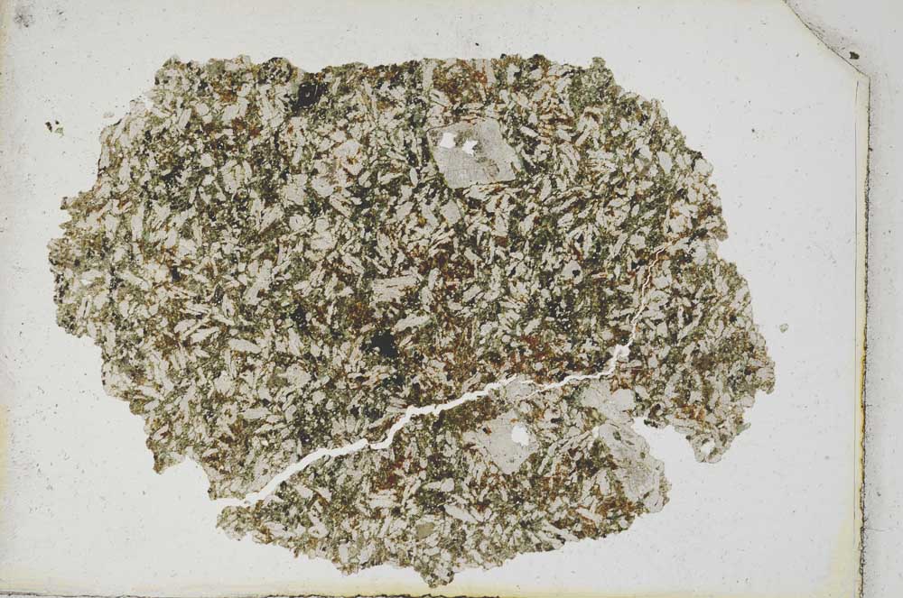 Plane Polarized, S10250