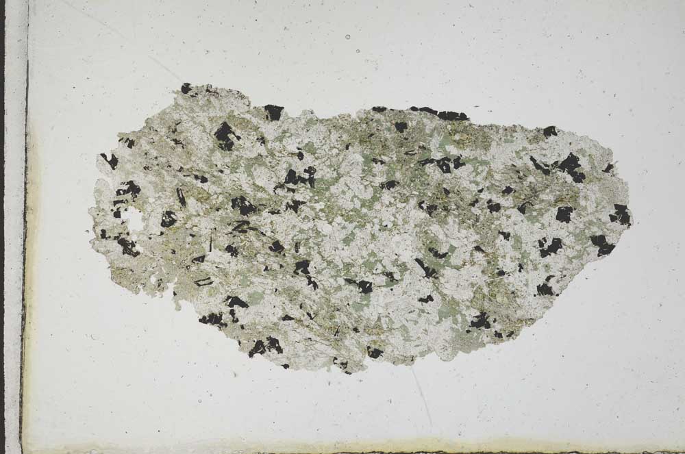 Plane Polarized, S10254