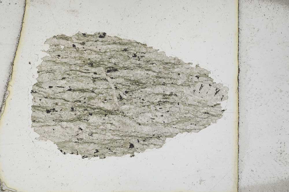 Plane Polarized, S10255