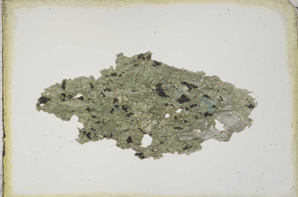 Plane Polarized, S10262