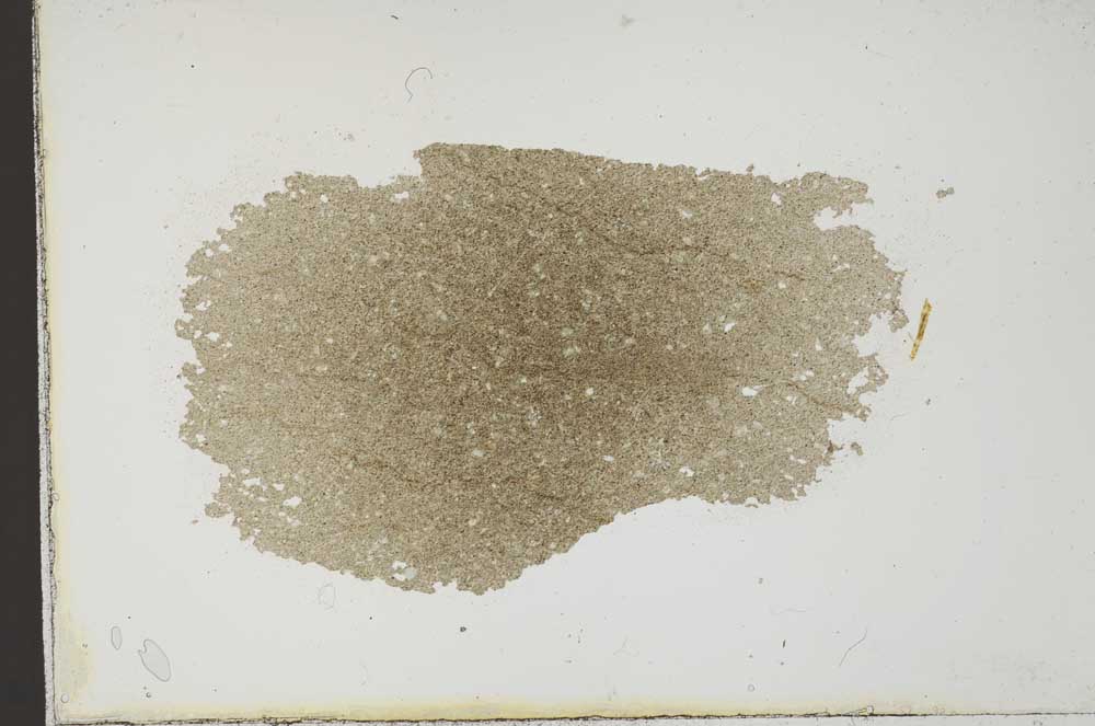Plane Polarized, S10263