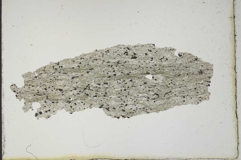 Plane Polarized, S10264