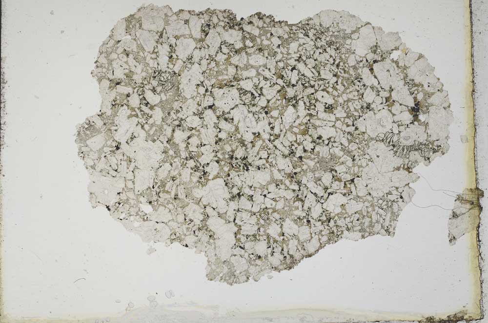 Plane Polarized, S10283