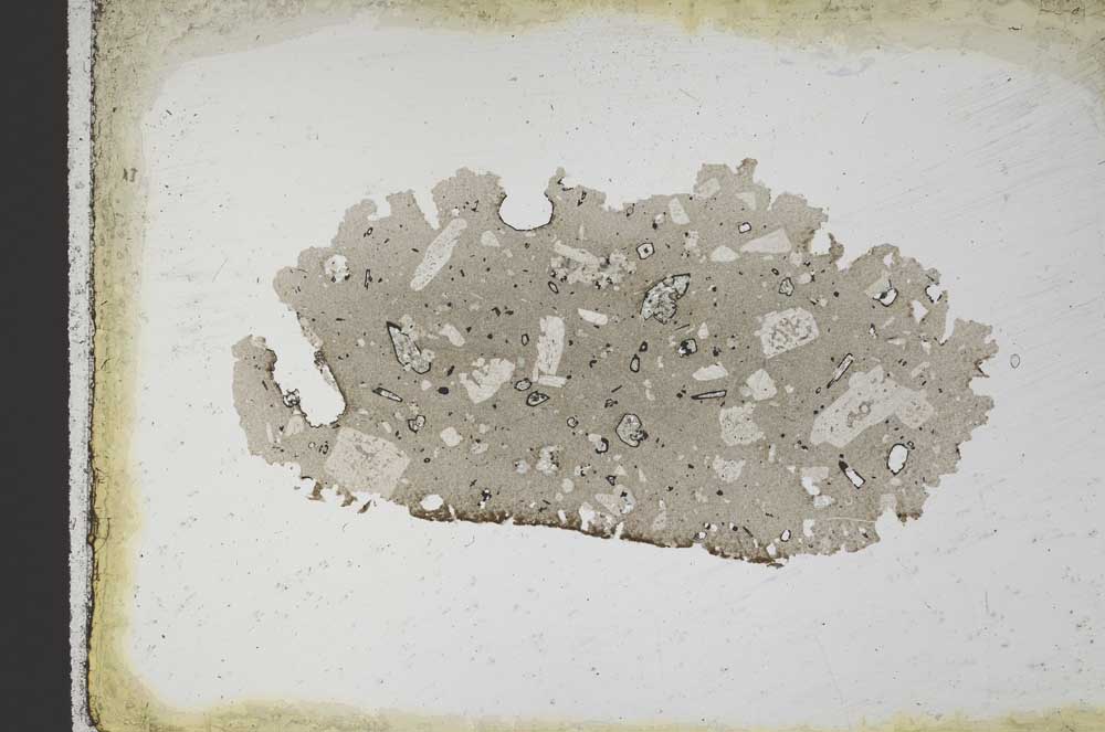 Plane Polarized, S10320