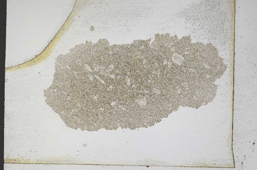 Plane Polarized, S10329