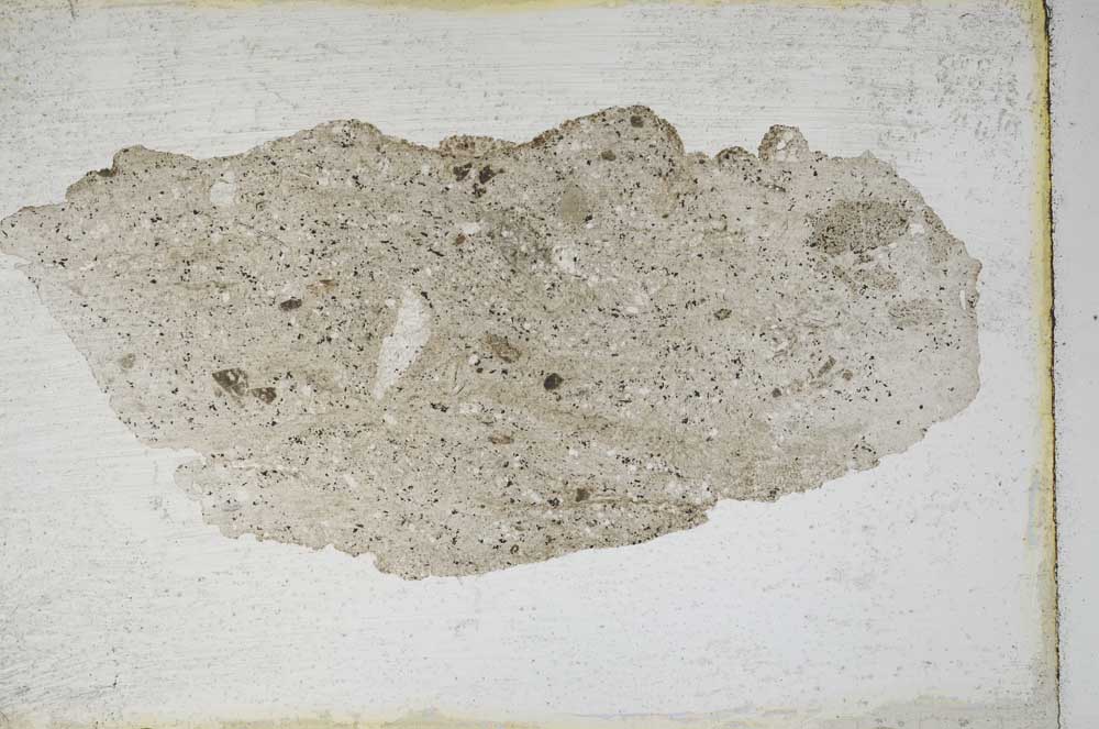 Plane Polarized, S10332