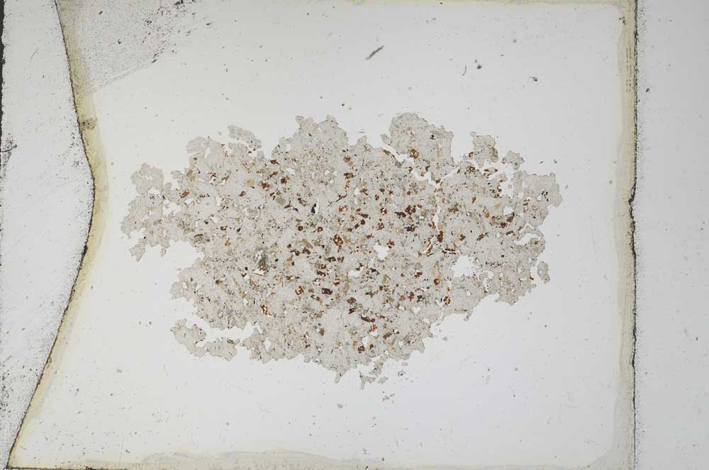 Plane Polarized, S10334