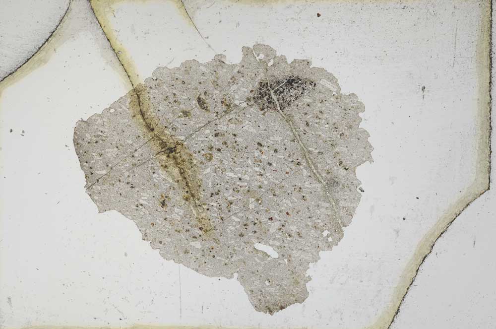 Plane Polarized, S10335