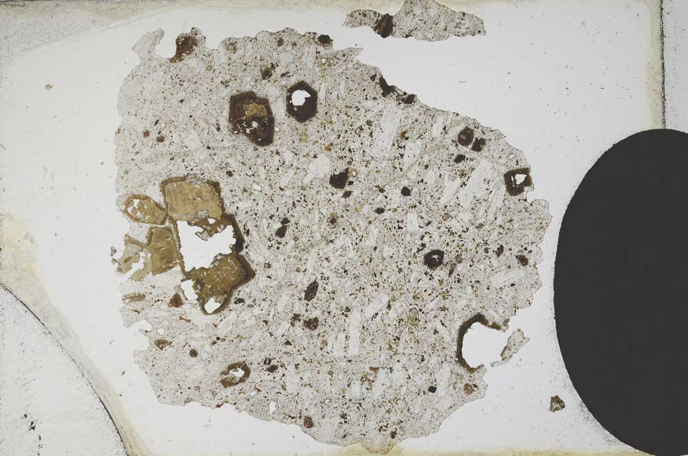 Plane Polarized, S10336