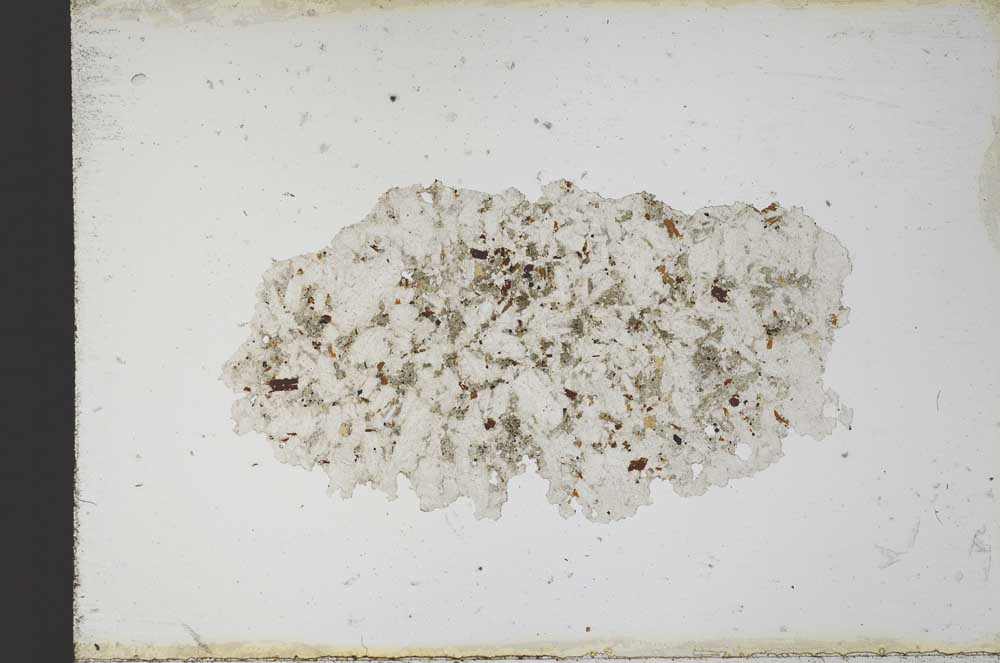 Plane Polarized, S10338