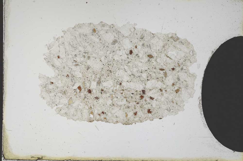 Plane Polarized, S10339