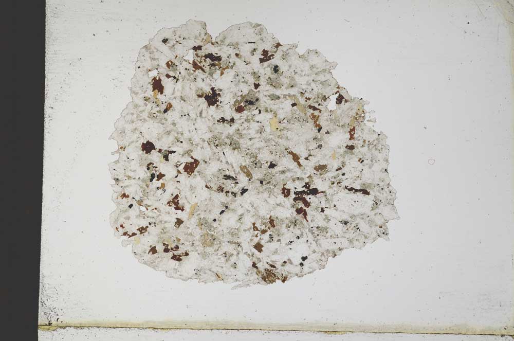 Plane Polarized, S10342