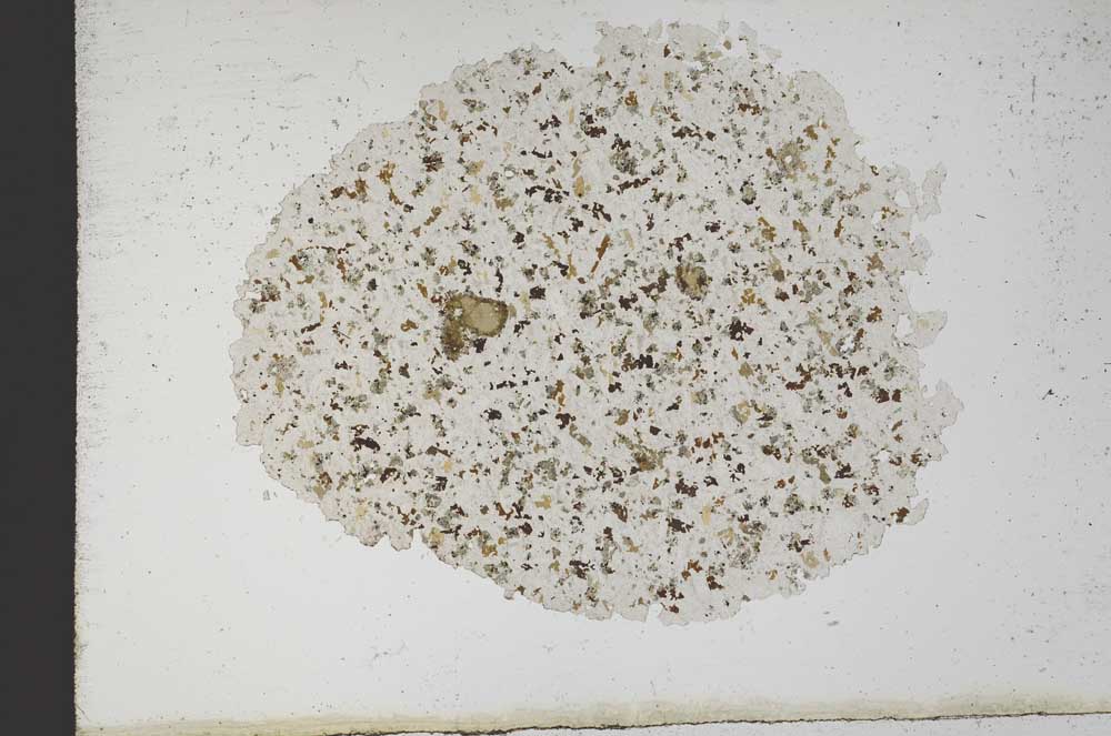 Plane Polarized, S10343