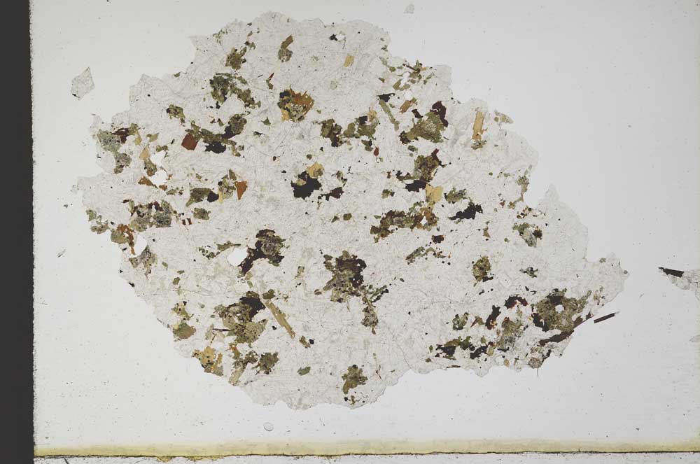 Plane Polarized, S10344