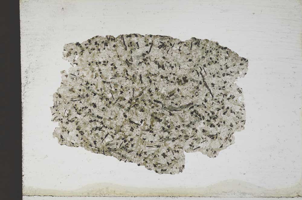 Plane Polarized, S10352