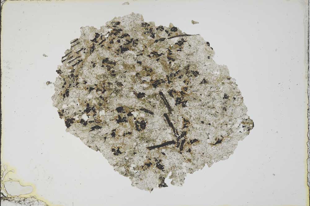 Plane Polarized, S10353