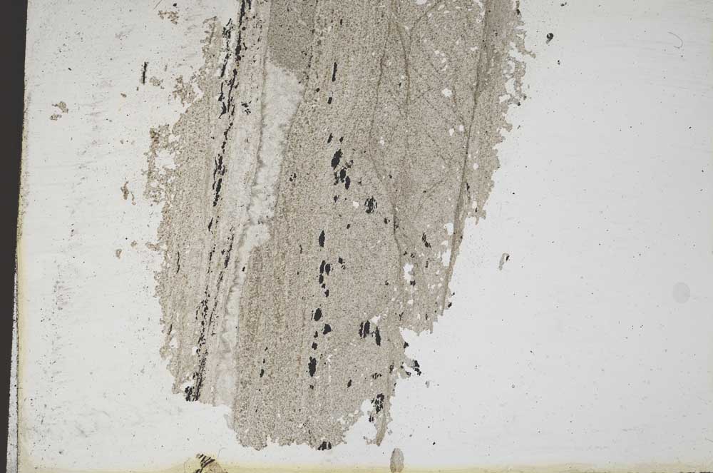 Plane Polarized, S10354