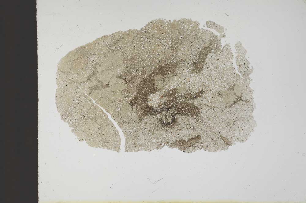 Plane Polarized, S10359